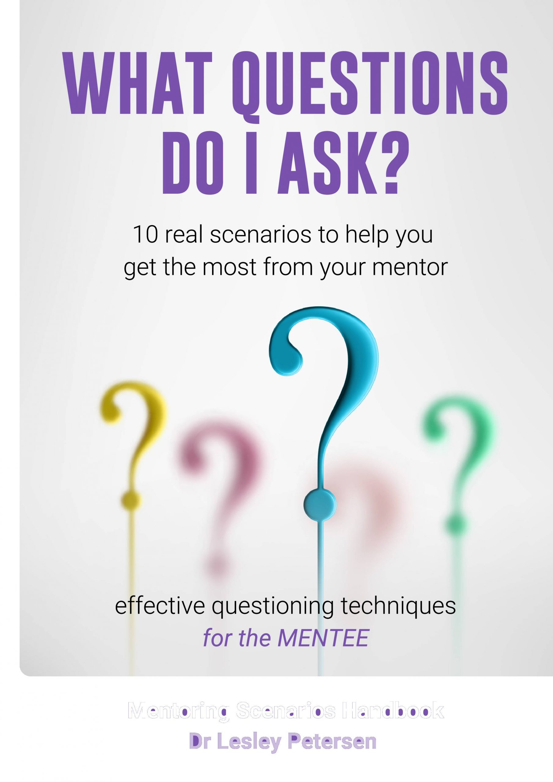 Ikke vigtigt personlighed Grusom What Questions Do I Ask? (eBook): 10 real scenarios to help you get the  most from your mentor - Lesley Petersen Consulting